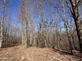 14.53 Ac Pickett Park Hwy - Photo 6