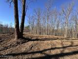 14.53 Ac Pickett Park Hwy - Photo 8