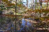 28.30ac Whitson Hollow Rd - Photo 5