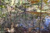 28.30ac Whitson Hollow Rd - Photo 6