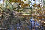 28.30ac Whitson Hollow Rd - Photo 8