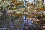 28.30ac Whitson Hollow Rd - Photo 9