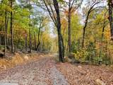 5960 Poor Valley Rd - Photo 2