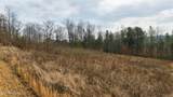 TBD Pinnacle Pointe Way - Photo 1
