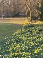 259 Sherman Rd - Photo 7