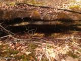  Shady Oaks Drive - Photo 13