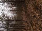  Shady Oaks Drive - Photo 15