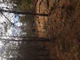  Shady Oaks Drive - Photo 16