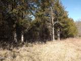 259 Mountain Shores Rd - Photo 12