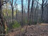 Lot 5 Swann Saddle - Photo 1