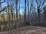 Lot 5 Swann Saddle - Photo 6