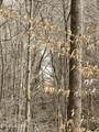 Lot 54-59 Cheri Lane - Photo 8