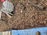 408 Veterans Lookout - Photo 27