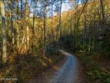 0 Walnut Flats Rd - Photo 11