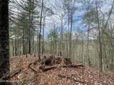 0 Walnut Flats Rd - Photo 3