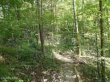 0 Walnut Flats Rd - Photo 6
