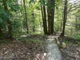 0 Walnut Flats Rd - Photo 7
