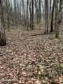 9 + 64 ac Saga Lane - Photo 3