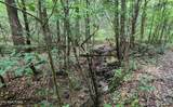  Rockhouse Creek - Church Rd - Photo 11