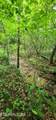  Rockhouse Creek - Church Rd - Photo 12