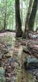  Rockhouse Creek - Church Rd - Photo 14