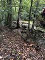 1670 Jobey Green Hollow Rd - Photo 18