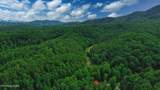 1670 Jobey Green Hollow Rd - Photo 35