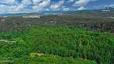 1670 Jobey Green Hollow Rd - Photo 40