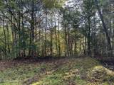 1423 Mountain Dreams Way - Photo 3