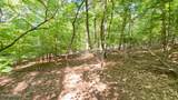 Lot 2 Flat Woods Rd - Photo 5