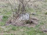 4299 Andrew Johnson Hwy - Photo 8