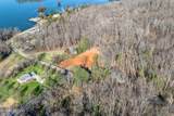 4016 Guinn Rd - Photo 7