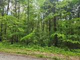  County Road 121, 5.3 Ac #2 - Photo 3