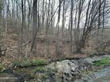 2144 Yellow Branch Rd - Photo 13