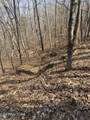  Meandering Circle - Photo 3