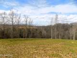 Lot 35 Graystone Shoals - Photo 4
