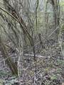  Crowder Rd - Photo 6