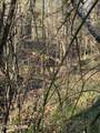  Crowder Rd - Photo 7