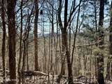  Sugar Loaf Rd - Photo 16