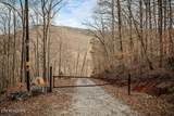 0 Buffalo Cove Lane - Photo 15