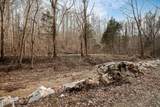 0 Buffalo Cove Lane - Photo 17