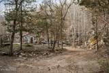 0 Buffalo Cove Lane - Photo 19
