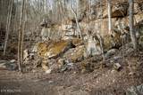 0 Buffalo Cove Lane - Photo 21