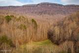 0 Buffalo Cove Lane - Photo 42