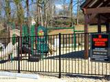 Lot 57 Shoreline Vista - Photo 14