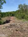 100 acres Highway 72 - Photo 4