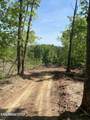 100 acres Highway 72 - Photo 5