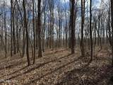 1261 Roanoke Rd - Photo 9