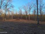 Lot 2 Mecca Pike - Photo 1