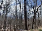 Clingmans View - Photo 3